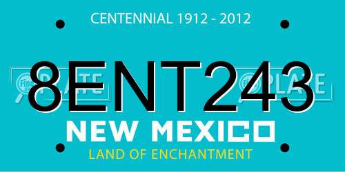 8ENT243 New Mexico License Plate