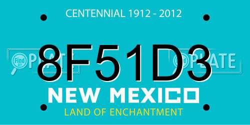 8F51D3 New Mexico License Plate
