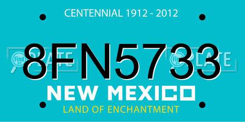 8FN5733 New Mexico License Plate