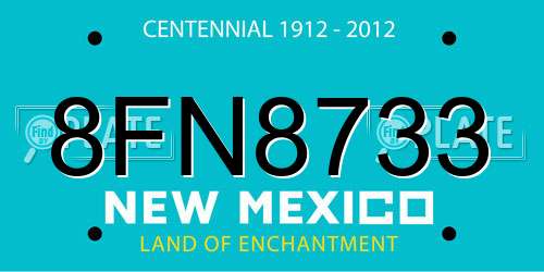 8FN8733 New Mexico License Plate