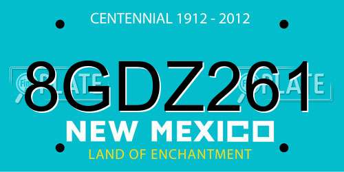 8GDZ261 New Mexico License Plate