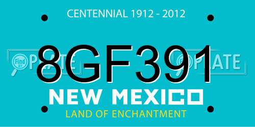 8GF391 New Mexico License Plate