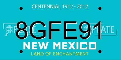 8GFE91 New Mexico License Plate