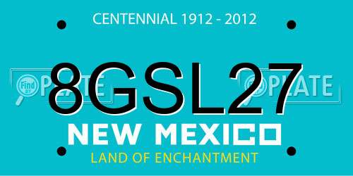 8GSL27 New Mexico License Plate