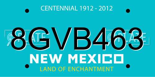 8GVB463 New Mexico License Plate