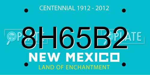 8H65B2 New Mexico License Plate