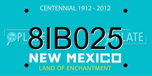 8IB025 New Mexico License Plate