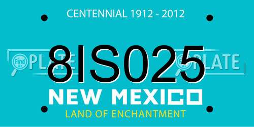 8IS025 New Mexico License Plate