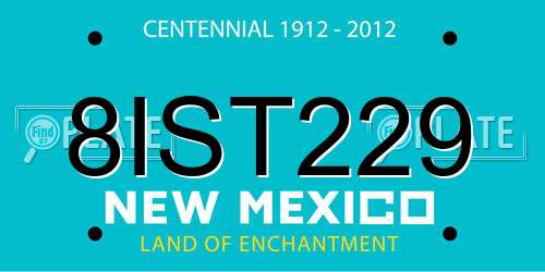 8IST229 New Mexico License Plate