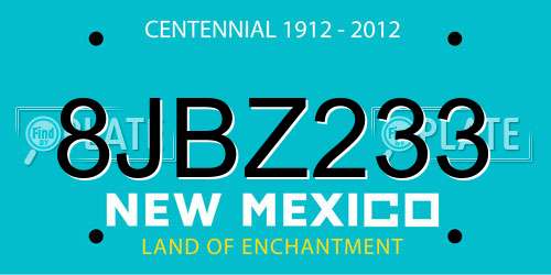 8JBZ233 New Mexico License Plate
