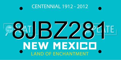 8JBZ281 New Mexico License Plate