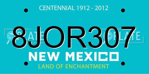 8JOR307 New Mexico License Plate