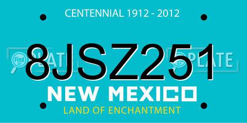 8JSZ251 New Mexico License Plate