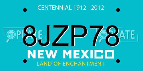 8JZP78 New Mexico License Plate
