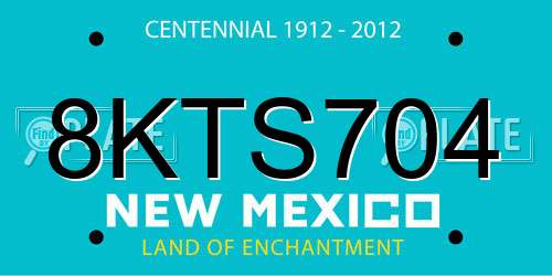 8KTS704 New Mexico License Plate