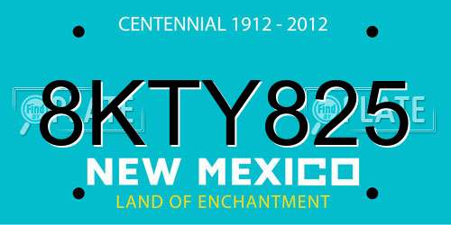 8KTY825 New Mexico License Plate