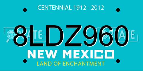 8LDZ960 New Mexico License Plate