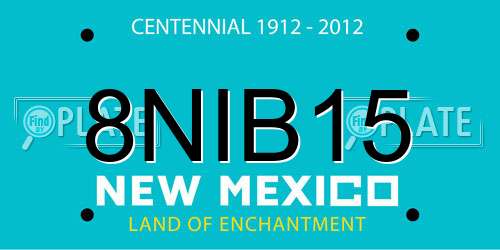 8NIB15 New Mexico License Plate