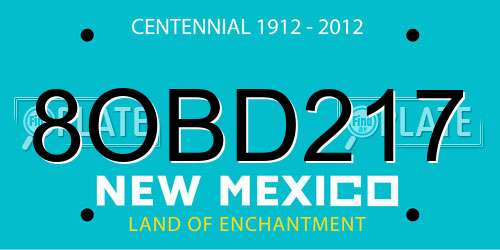 8OBD217 New Mexico License Plate