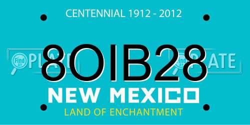 8OIB28 New Mexico License Plate