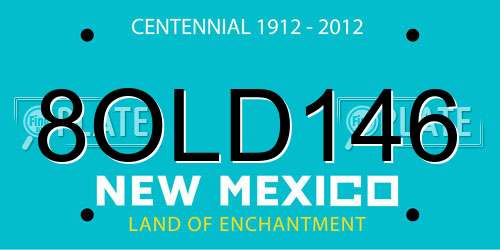 8OLD146 New Mexico License Plate