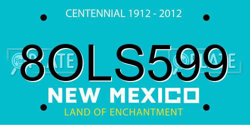 8OLS599 New Mexico License Plate