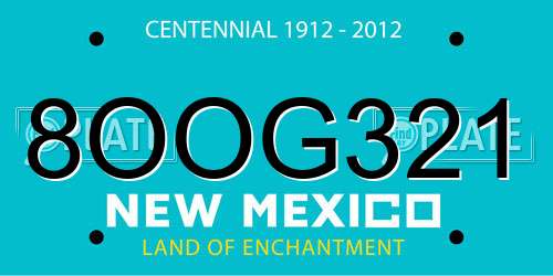 8OOG321 New Mexico License Plate
