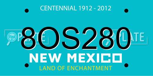 8OS280 New Mexico License Plate