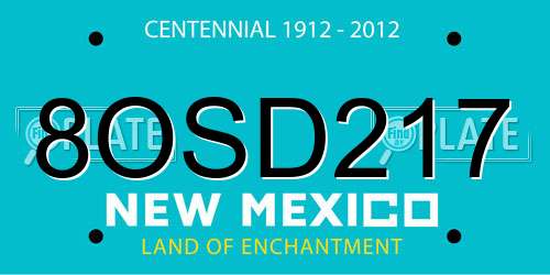 8OSD217 New Mexico License Plate