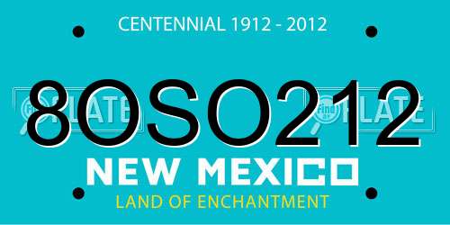 8OSO212 New Mexico License Plate
