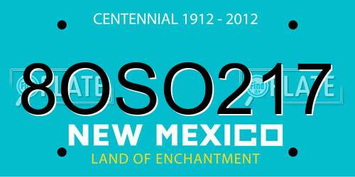 8OSO217 New Mexico License Plate