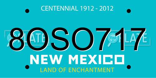 8OSO717 New Mexico License Plate