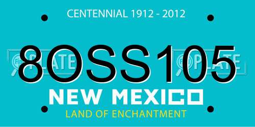 8OSS105 New Mexico License Plate