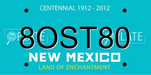8OST80 New Mexico License Plate
