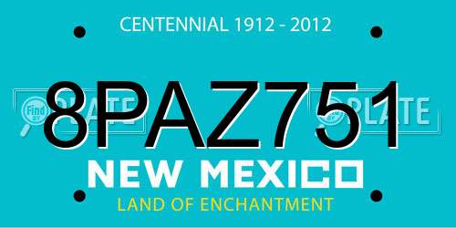 8PAZ751 New Mexico License Plate