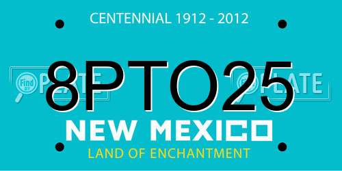 8PTO25 New Mexico License Plate