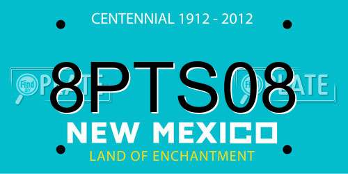 8PTS08 New Mexico License Plate