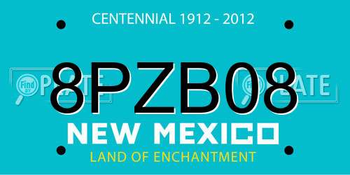 8PZB08 New Mexico License Plate