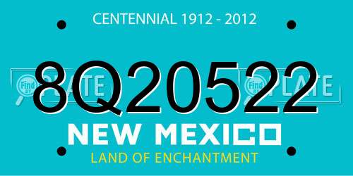 8Q20522 New Mexico License Plate
