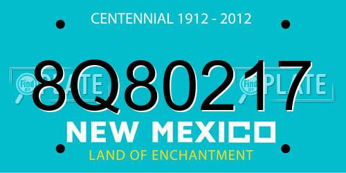 8Q80217 New Mexico License Plate