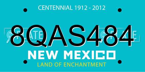 8QAS484 New Mexico License Plate