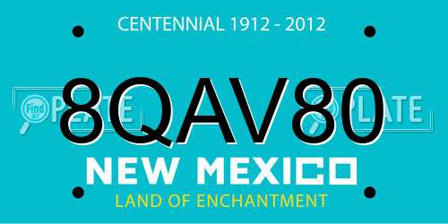 8QAV80 New Mexico License Plate