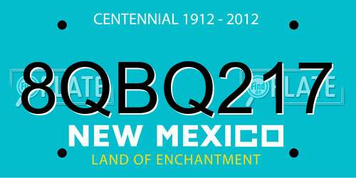 8QBQ217 New Mexico License Plate