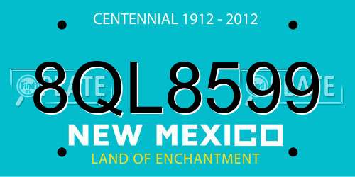 8QL8599 New Mexico License Plate