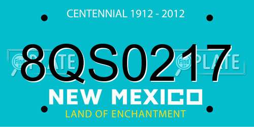 8QS0217 New Mexico License Plate