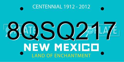 8QSQ217 New Mexico License Plate