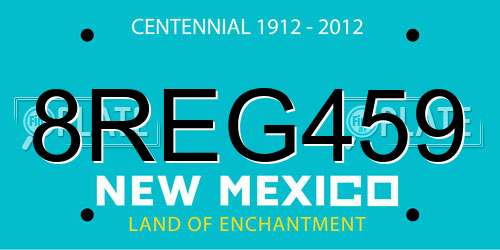 8REG459 New Mexico License Plate