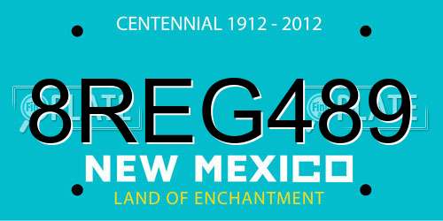 8REG489 New Mexico License Plate