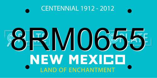 8RM0655 New Mexico License Plate