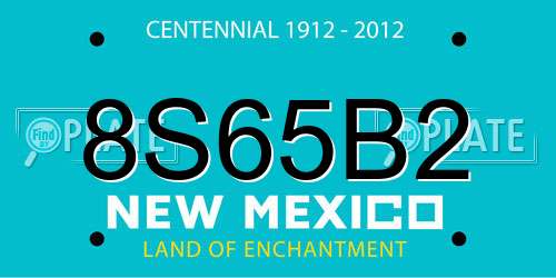 8S65B2 New Mexico License Plate